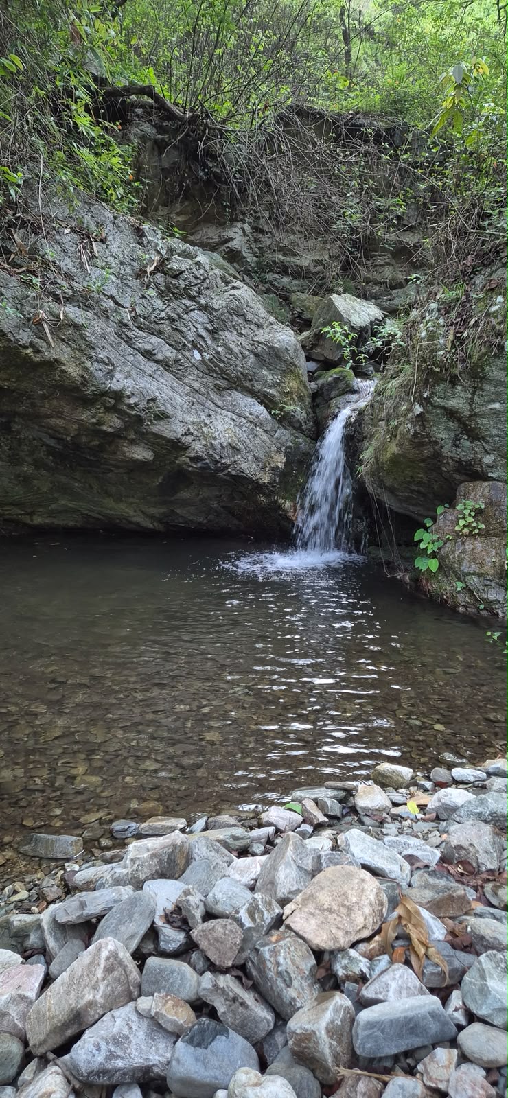Nature